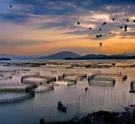 钦州伴游中国网景点丰富(旅游网介绍)