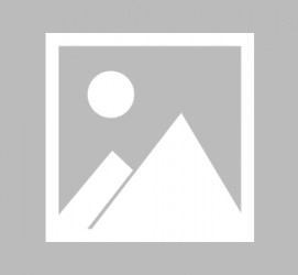 钦州北京私人伴游 宁波出现专业“旅拍” 充当导游+地陪 上山下海一路跟随