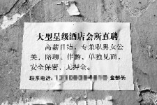 钦州珠海伴游雇用网(珠海游览社雇用信息)
