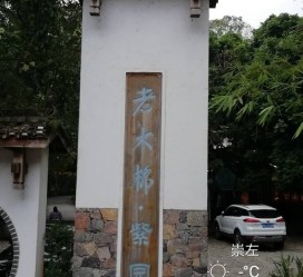 钦州关于伴游中国伴游你们伴得是什么游的信息