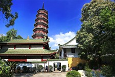 钦州广州自由行(广州 自由行)