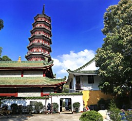 钦州广州自由行(广州 自由行)