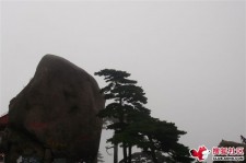 钦州上海伴游私家陪游雇用女模(上海伴游私家陪游雇用女模特)