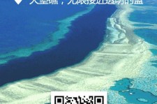 钦州中国250家旅行社结伴游新西兰(新西兰当地旅行社)