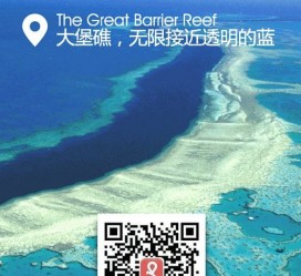 钦州中国250家旅行社结伴游新西兰(新西兰当地旅行社)