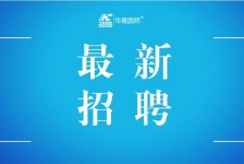 钦州镇江伴游雇用驾驶员(镇江驾驶员雇用苍生网)