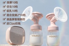 钦州奶模(奶模型)