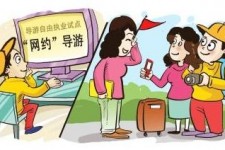 钦州伴游是什么