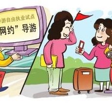 钦州伴游是什么
