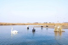 钦州南昌附近伴游小妹兼职(1534939978姐的微信德惠市)