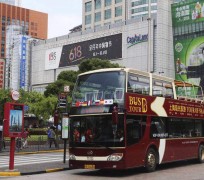 钦州上海私人伴游 上海过年怎么玩？这些“微游”线路了解下→