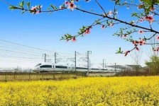 钦州高铁游(高铁游戏下载手机版)