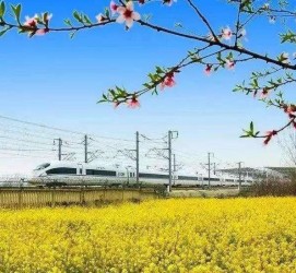 钦州高铁游(高铁游戏下载手机版)