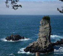 钦州旅游全攻略(上海旅游全攻略)