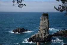 钦州旅游全攻略(上海旅游全攻略)