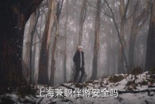 钦州上海私人伴游 上海伴游，上海兼职伴游安全吗