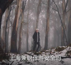 钦州上海私人伴游 上海伴游，上海兼职伴游安全吗