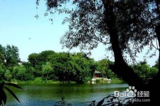 钦州西湖旅游攻略(上海到杭州西湖旅游攻略)