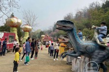 钦州中国伴游带你打卡网红南山竹海(南山竹海网上预约)
