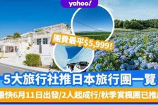 钦州旅游价格(旅游价格机制)