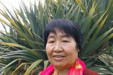 钦州白叟带老伴游半个中国(白叟外出旅游)