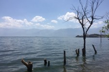 钦州洱海旅游攻略(洱海旅游攻略自由行)