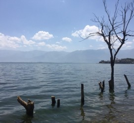 钦州洱海旅游攻略(洱海旅游攻略自由行)