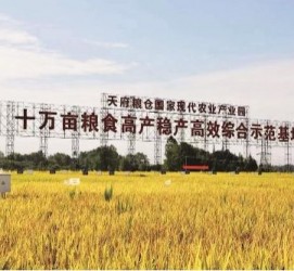 钦州关于成都商务伴游外围雇用的信息