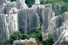 钦州贵阳市游览社英语伴游雇用(贵阳市前十名游览社是哪几家)