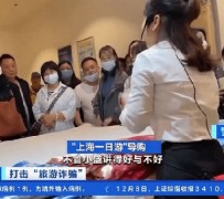 钦州上海私人伴游 看·法｜100元游上海？！“旅社”涉嫌诈骗被一窝端