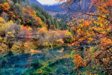 钦州四川旅游攻略(四川旅游攻略十五日游)