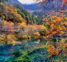 钦州四川旅游攻略(四川旅游攻略十五日游)