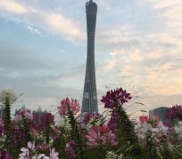 钦州广州旅游攻略(杭州到广州旅游攻略)