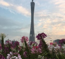 钦州广州旅游攻略(杭州到广州旅游攻略)