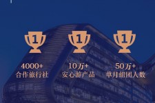 钦州上海私人伴游 ​ “小而美”的新时代：2020年国内新跟团消费报告
