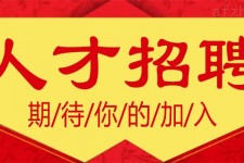 钦州上海伴游招聘 招聘 | 浦东机场专柜销售