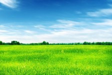 钦州上海伴游 上海模特伴游微信号的交友宣言