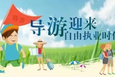 钦州私人伴游 “网约导游”到底是正流行 还是不热闹