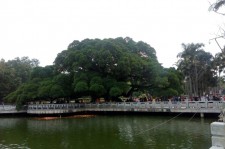 钦州福州旅游攻略(福州旅游攻略二日游)