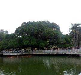 钦州福州旅游攻略(福州旅游攻略二日游)