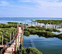 钦州旅游哪里好玩(云南旅游哪里好玩)
