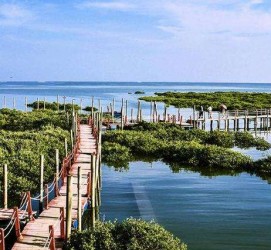 钦州旅游哪里好玩(云南旅游哪里好玩)