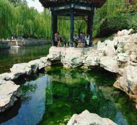 钦州济南旅游攻略(青岛威海济南旅游攻略)