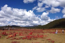 钦州旅游去处(暑期最好的旅游去处)