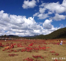 钦州旅游去处(暑期最好的旅游去处)