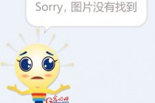 钦州选美蜜斯(世界选美蜜斯)