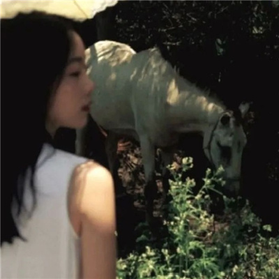 钦州私家伴游让你拥有一次完美的旅游体验